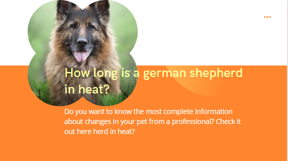 How long is a german shepherd in heat? Truly helpful guide