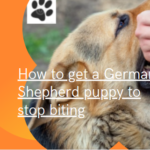 How to get a German Shepherd puppy to stop biting? complex