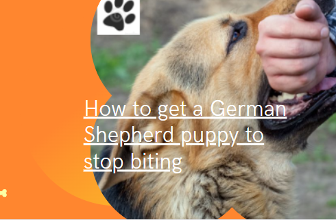 How to get a German Shepherd puppy to stop biting? complex