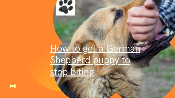 How to get a German Shepherd puppy to stop biting? complex