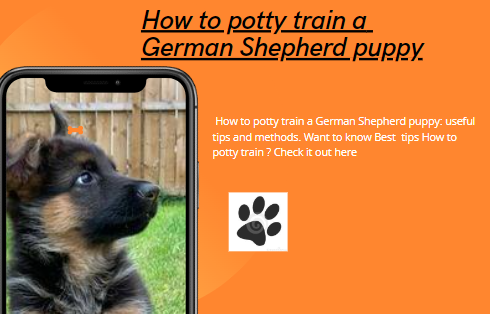 How to potty train a German Shepherd puppy: Best tips