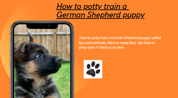 How to potty train a German Shepherd puppy: Best tips