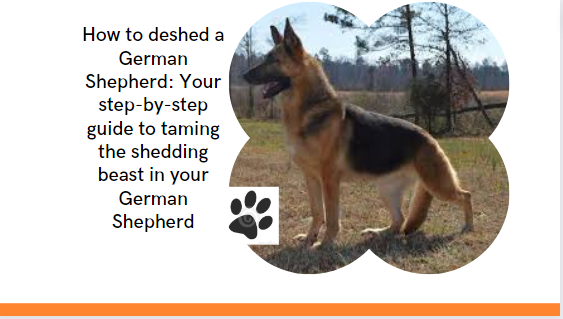 How to deshed a German Shepherd: Your step-by-step guide to taming the shedding beast in your German Shepherd