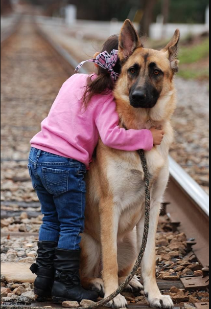 German Shepherds Temperament: Are They Good With Kids?