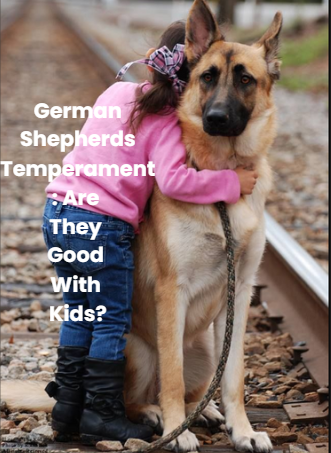 GERMAN SHEPHERDS TEMPERAMENT: ARE THEY GOOD WITH KIDS?