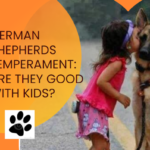 German Shepherds Temperament: Are They Good With Kids?